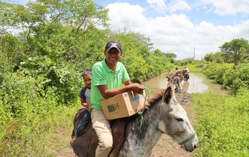 How our partners have transported food  