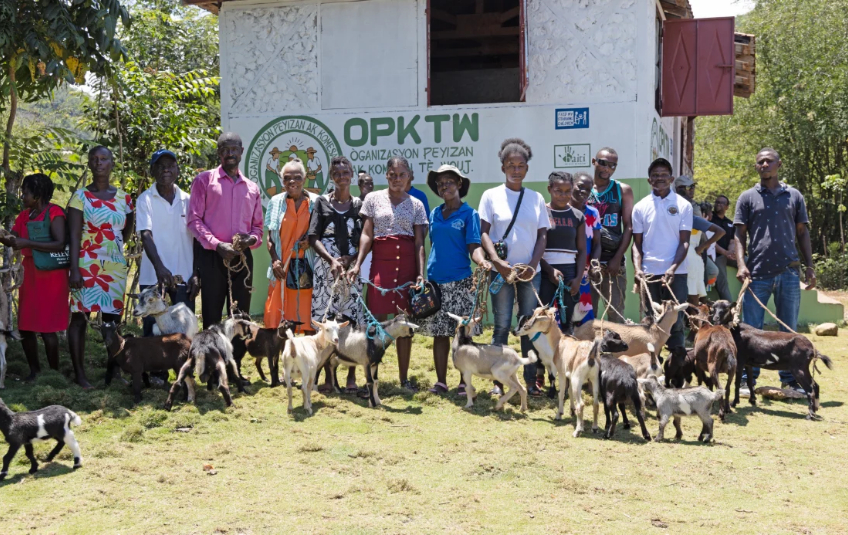 Haitian community with goats